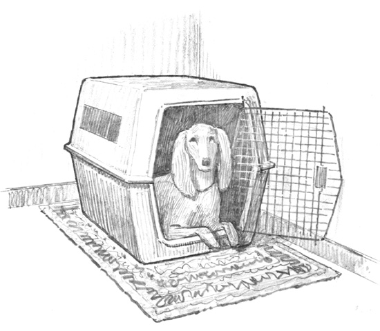 A properly crate-trained dog will think of the crate as her space and she may - photo 2