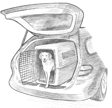 Many families have fenced-in enclosures in the rear of their car for their dog - photo 10