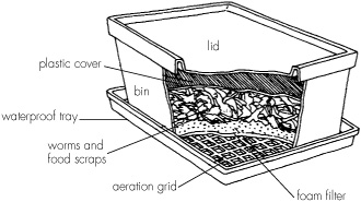 Fertilizers containing kelp or other seaweed and fish emulsion seem to - photo 2