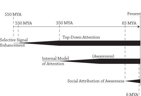 SPECULATIVE EVOLUTIONARY TIMELINE OF CONSCIOUSNESS The theory at a glance - photo 1