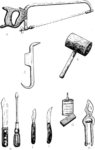 Tools used in grafting and budding A-saw B-mallet C-grafting tool D-heavy - photo 5