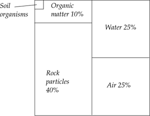 Building Blocks Soil is composed of rock particles soil organisms water air - photo 1