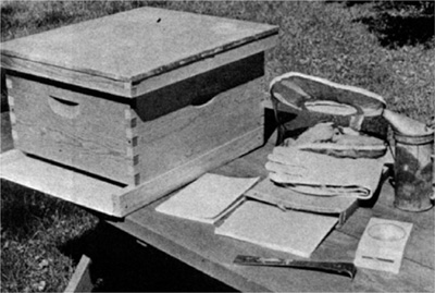 Basic equipment needed by the beginner includes standard ten-frame hive with - photo 5