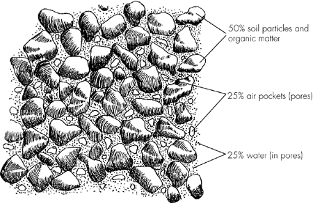 Some Specifics Everybody has had some experience with soil even if it was just - photo 3