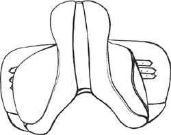 The gullet or spine of an English saddle holds the weight of the saddle off the - photo 2