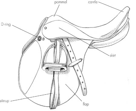 The jumping saddle is designed to support the forward-riding position required - photo 3