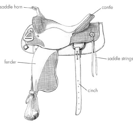 A classic Western saddle The Western saddle was originally developed for - photo 4