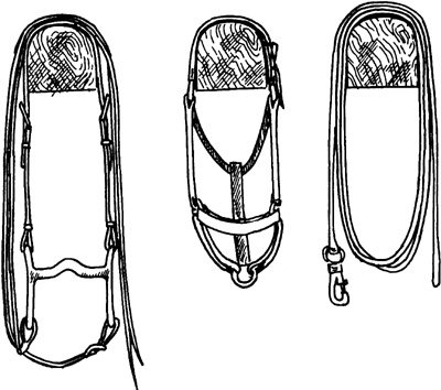 Hang bridles halters and other tack neatly Although windows will allow - photo 2