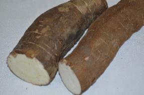 One of the main ingredients used in Brazil and South America is Mandioca which - photo 16