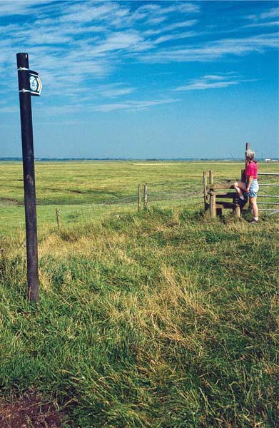 The start of the Ribble Way at the edge of the salt marsh Chapter 1 The - photo 9