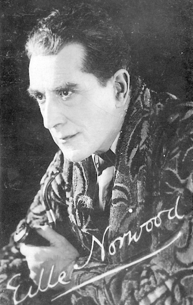 Ellie Norwood as Sherlock Holmes 1920s Authors collection There is a mystery - photo 4