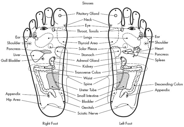 FOOT REFLEXOLOGY When most people hear the term reflexology they think of foot - photo 2