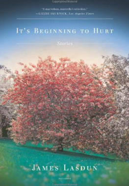 James Lasdun - Its Beginning to Hurt: Stories