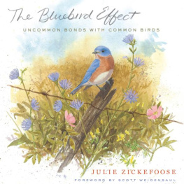 Julie Zickefoose - The Bluebird Effect: Uncommon Bonds with Common Birds