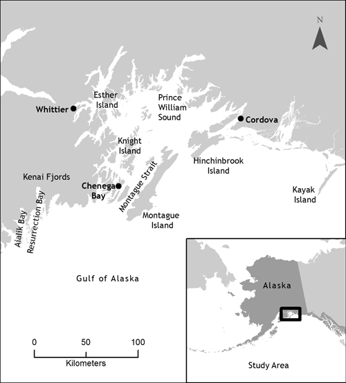 Allison Gaylord Nuna Technologies 2012 Contents Chugach Transient Family - photo 2