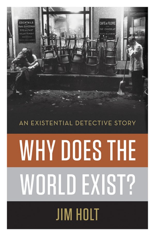 Why Does the World Exist An Existential Detective Story - image 1