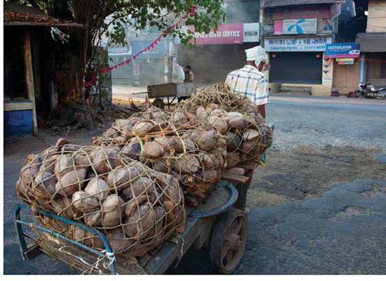 Always remember though that convenience has a price These foods cook faster - photo 5