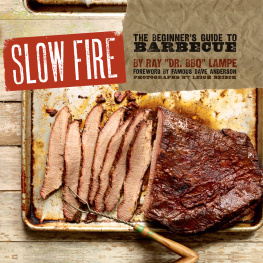 Ray DR. BBQ Lampe Slow Fire: The Beginners Guide to Barbecue