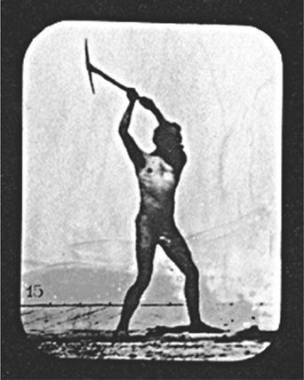 Frontispiece photographs top Eadweard Muybridge self-portrait swinging a - photo 2