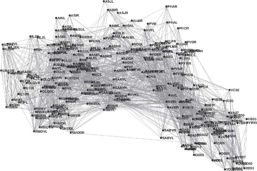 Figure 3 Map of the C elegans nervous system or connectome Engineers know - photo 3