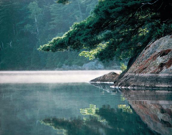 Precambrian rock and white pine Georgian Bay Ontario A bull moose enjoys - photo 3