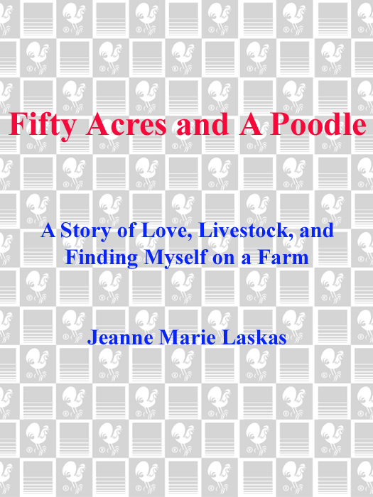 Praise for Jeanne Marie Laskas and FIFTY ACRES AND A POODLE A terrifically - photo 1