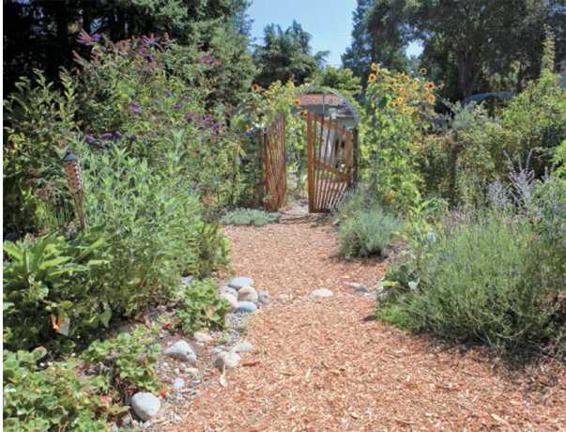 Bountiful plantings mulched pathways and insect-attracting perennials and - photo 3