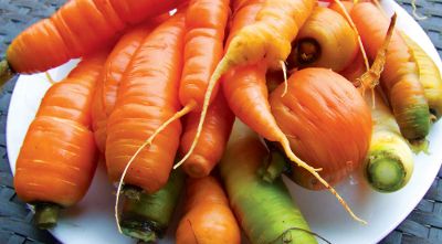 PREFACE A Fresh Winter Vegetable Buffet The Parisian growers for generations - photo 3