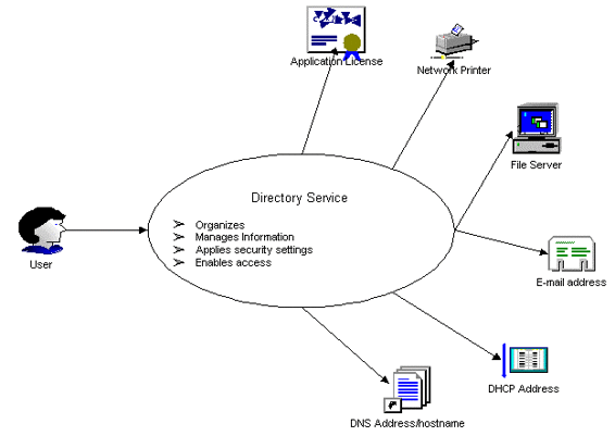 Figure 11 Directory servicestructure Historyof the Directory Service - photo 1