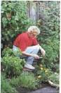 This harvest of fresh herbs left is every chefs dream Included are many - photo 7