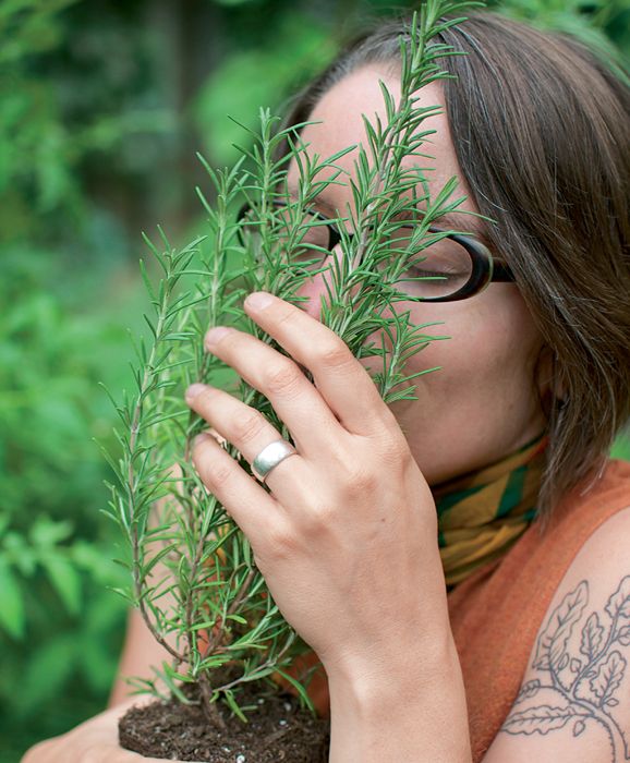 CHAPTER 1 The Pleasure of Herbs and Edible Flowers Herbs are tactile plants - photo 9