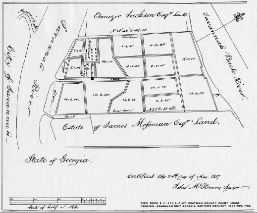 2 Hutchinson Island This map shows the layout of the Bayard property on - photo 9