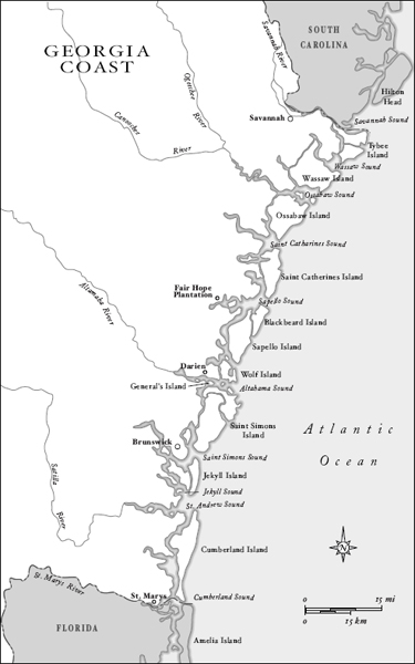 3 Georgia Coast A network of tidal rivers and creeks marks coastal Georgia - photo 10