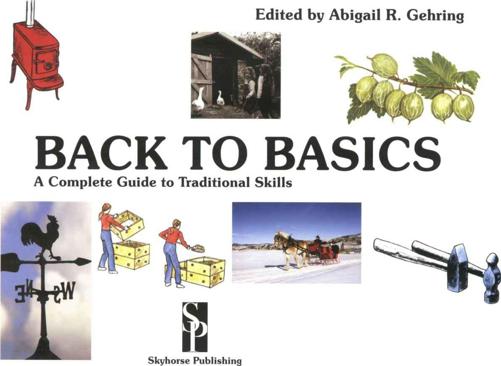 BACK TO BASICS Copyright 2008 by Skyhorse Publishing Inc All Rights - photo 2