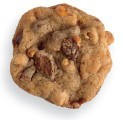 The Daily Cookie copyright 2012 by Anna Ginsberg Photography Hals Pumpkin - photo 3