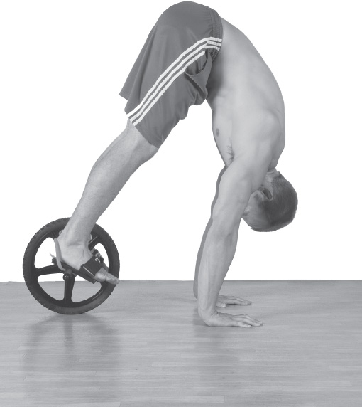 The ab wheel is just another tool in the fitness toolbox that targets your - photo 5