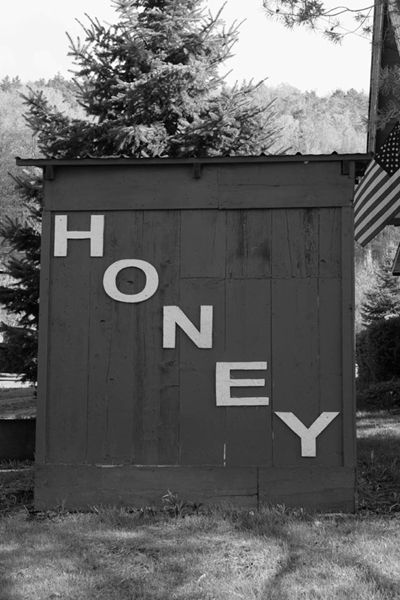 Chapter 1 The Story of Honey Before honey arrives on your kitchen table it - photo 3