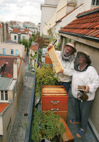 A balcony in Paris Londoners have always kept bees There has been an - photo 6