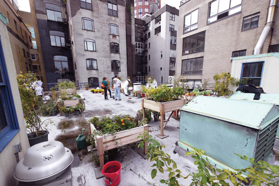 New York rooftop apiary Beehives at night in Corams Fields London Living - photo 8