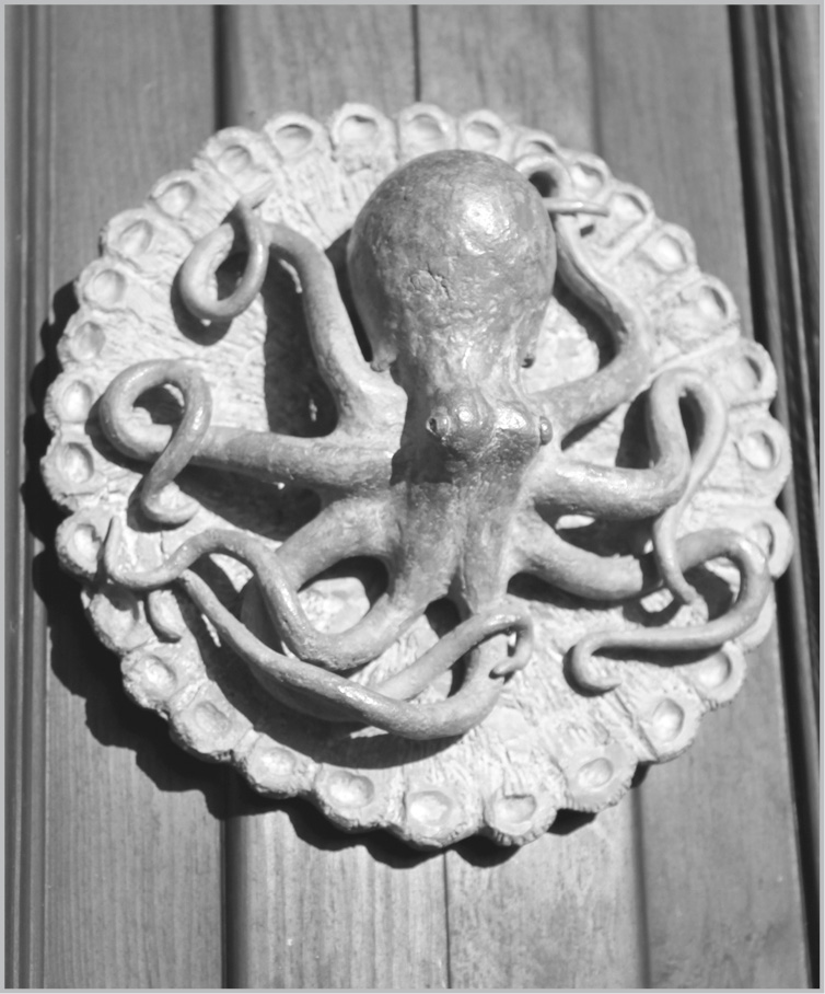 Octopus door adornment in Tellaro Italy Katherine Harmon Courage In the - photo 5