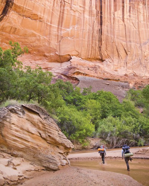 On day two of a six-day backcountry hike in Arizonas Glen Canyon National - photo 5