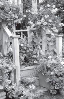 Create a visual vertical garden by simply placing containers at different - photo 3