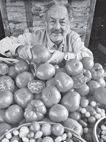 Author Derek Fell displays a days harvest from his tomato plants including - photo 5