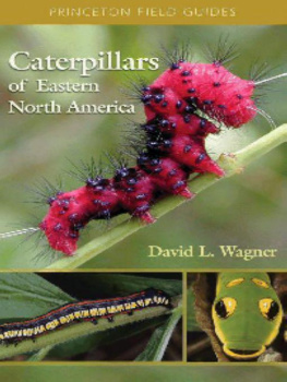 David L. Wagner - Caterpillars of Eastern North America: A Guide to Identification and Natural History