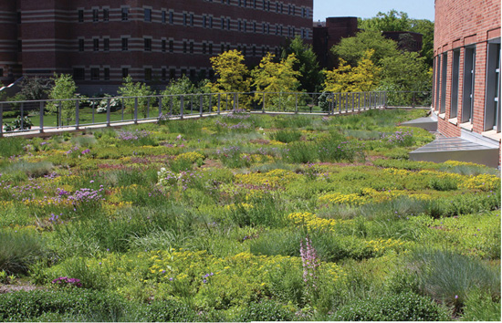 The Green Roof Manual A Professional Guide to Design Installation and Maintenance - image 2