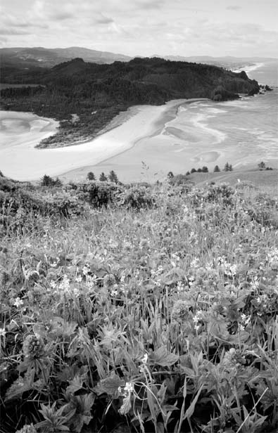 BICYCLING THE pacific coast A Complete Route Guide Canada to Mexico - photo 1