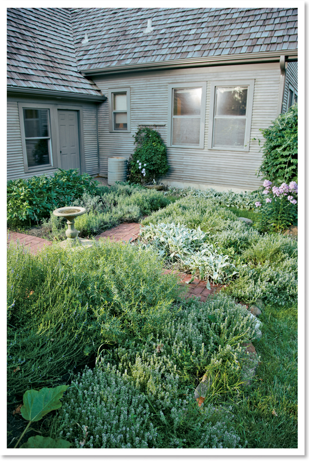 CREATING A BEAUTIFUL AND BOUNTIFUL GARDEN WITH VEGETABLES FRUITS AND FLOWERS - photo 1