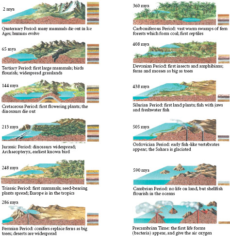 The study of the shape of the Earth is called geodesy In the past geodesy - photo 7