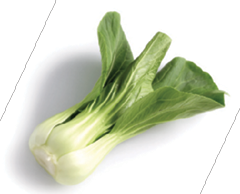 Bok choy is a highly nutritious variety of cabbage with long crisp stalks and - photo 5