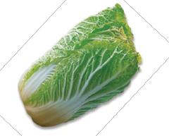 Chinese cabbage also known as Napa cabbage has white stems that end in - photo 7